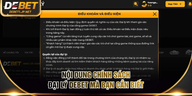 Nội dung chính sách đại lý DEBET mà bạn cần biết