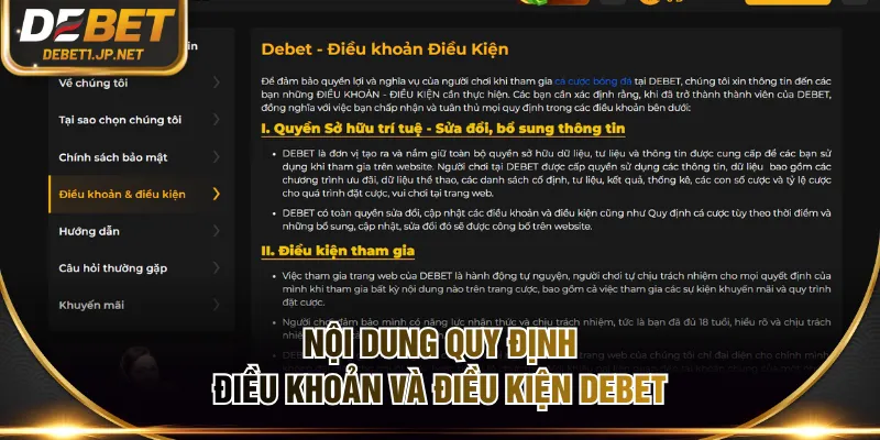 Nội dung quy định điều khoản và điều kiện DEBET
